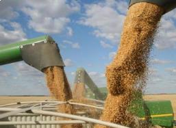 内蒙古以791.6亿斤新高迎来“二十连丰”