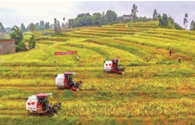 重庆2027年建成全国丘陵山区农机装备研发制造高地