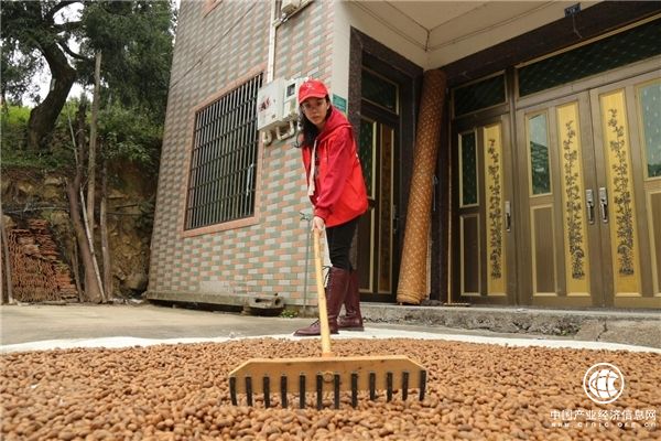 浙江诸暨：“香溢”志愿助力乡村振兴