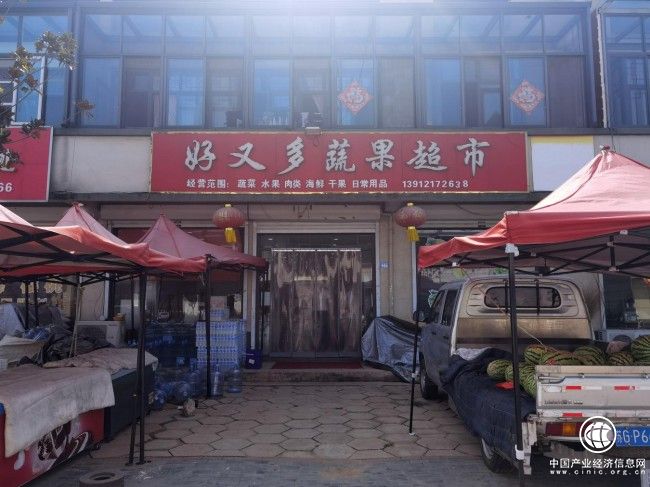 “金丝利”赋能乡村振兴 樱桃小镇激活“头雁”效应