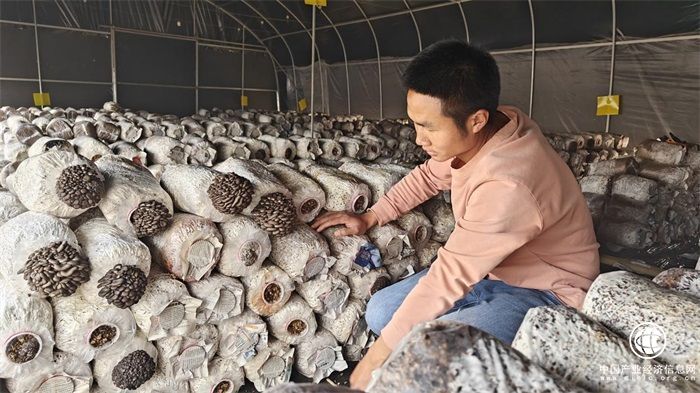 只要人勤快，日子会越来越好