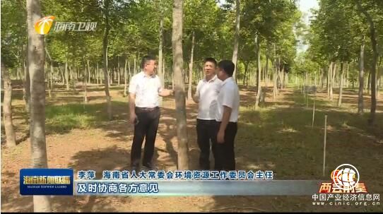 海南省人大代表王永涛“黄花梨一树一证提案”列入省人大重点督办