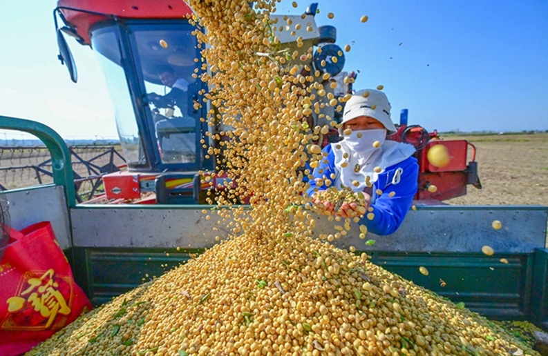 绘就宜居宜业和美乡村新画卷——中央一号文件释放有力有效推进乡村全面振兴信号
