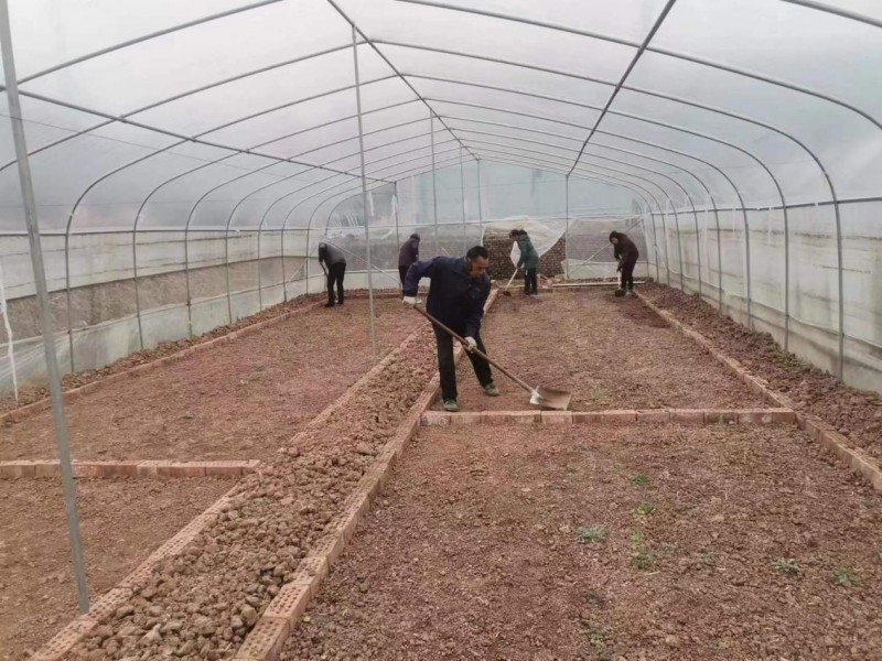 汉阴：春耕赶时令 烤烟育苗忙