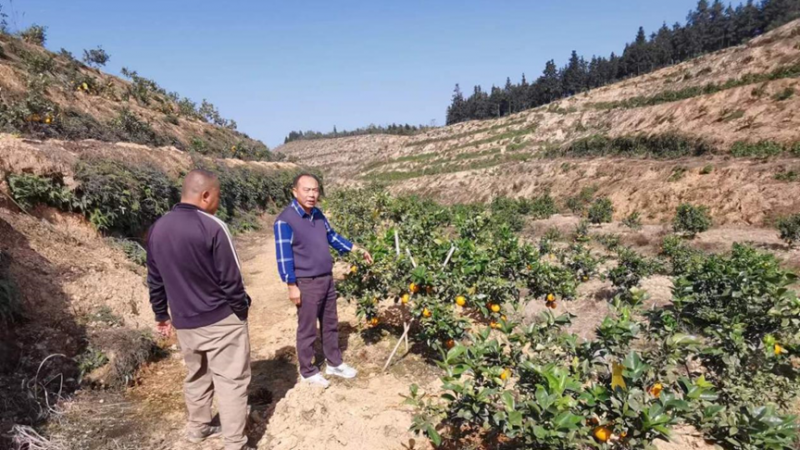 乡村振兴帮扶人 致力幸福振兴路