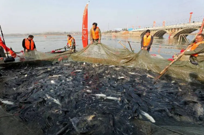 安徽渔业经济保持稳健增长态势