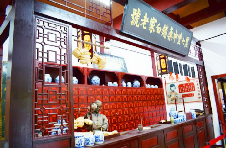 山东东阿：打造全国中医药文化传承创新高地