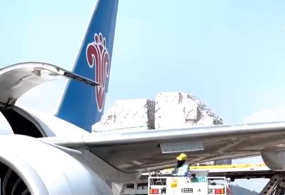 超1100亿，出口火热！高效“出海” 物流车间24小时忙不停