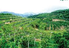 中国热科院：加快发展热带农业新质生产力