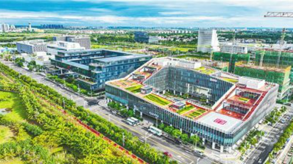 海南：12方面推动商务工作高质量发展