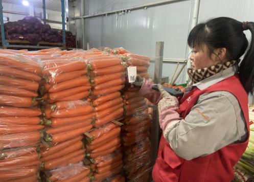 不少蔬菜水果进了垃圾桶，如何减少损耗浪费？