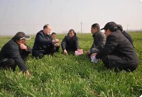 农业农村部开展春管春耕调研指导