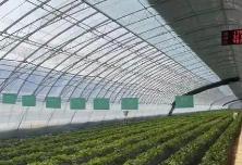 智慧农业作引擎 设施大棚增收入