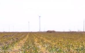 因苗因地把“麦”问诊 科技助力各地绘好“春耕图”