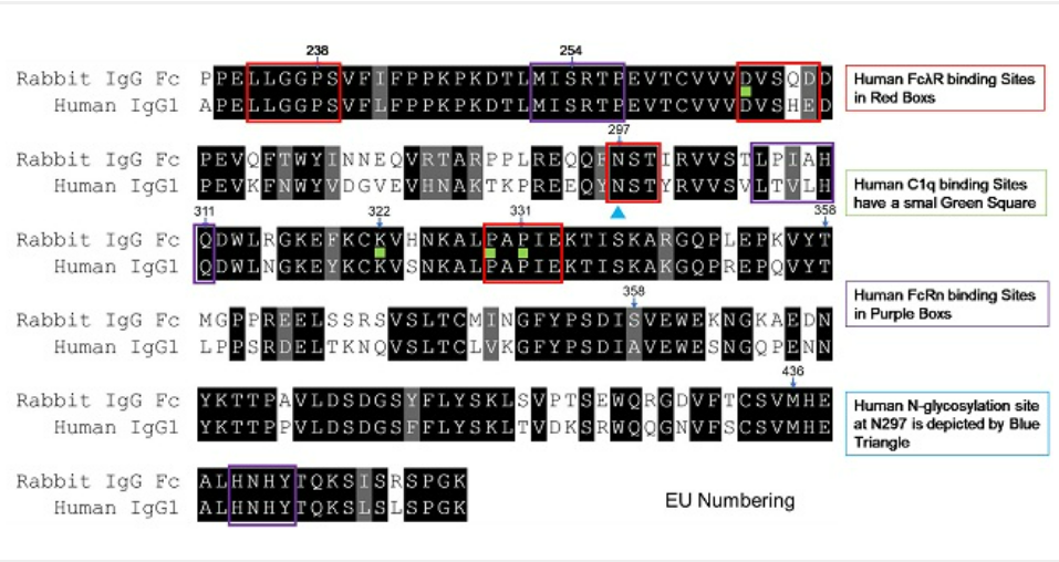 20250221121601954.png 20250221121601954.png