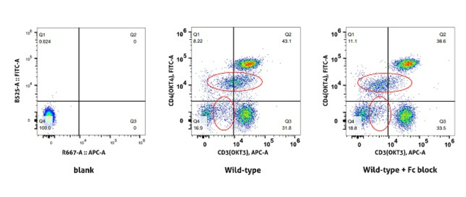 20250221121629748.png 20250221121629748.png