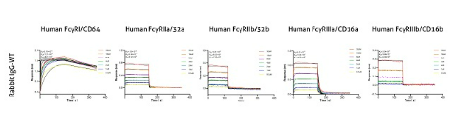 20250221121650882.png 20250221121650882.png