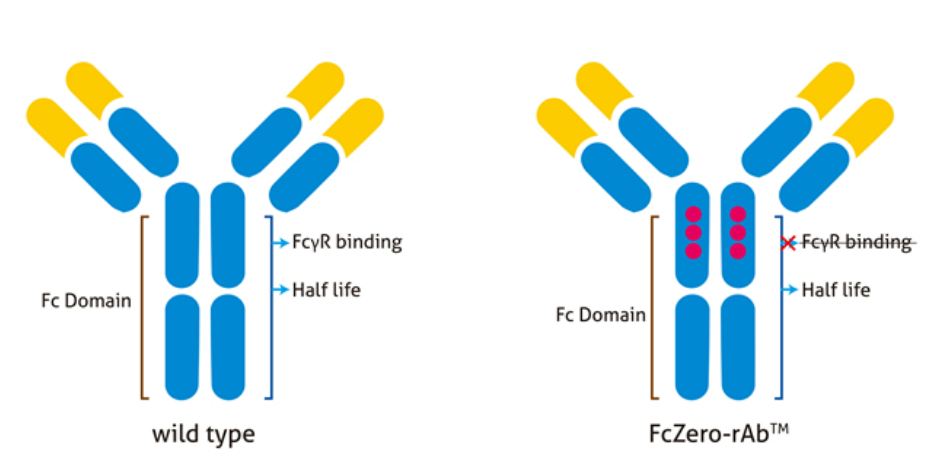 20250221121725700.png 20250221121725700.png