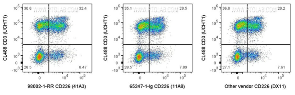 20250221122424398.png 20250221122424398.png