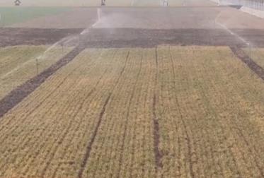 智能物联赋能春耕“加速度” “智慧农田”夯实夏粮丰收基础