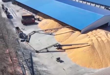 市场购销活跃 “数字孪生+数智管理”助力粮食全产业链升级迭代