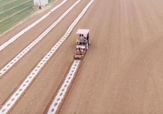 创新种植模式高效利用土地资源 助力农户增收