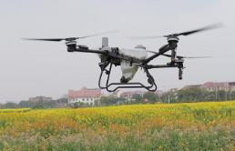 田间更丰富 “舌尖”更幸福