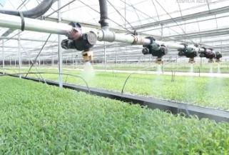 智慧灌溉、水肥一体——看农业生产中的节水“妙招”