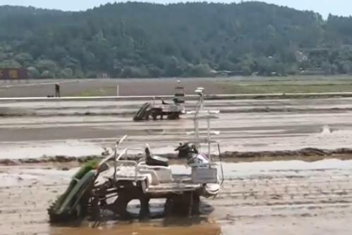 农业生产向“智”向“新” “太空紫云英”化为春泥助春耕