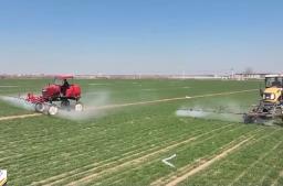 水肥“精准投喂” 全国各地用科技浇出冬小麦好苗情
