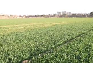 “量体裁衣”种好地 全方位服务直达田间地头夯实增收基础