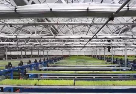 “电梯”育秧、智能喷灌……智慧农业绘就春耕新图景 科技“护航”保丰收