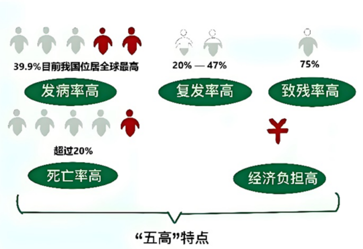 夏小雨：突破康复瓶颈，脊髓电刺激让卒中后偏瘫的肢体“破茧重生”