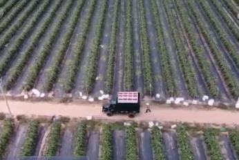 科技小院打造“田间实验室” 带动农民持续增收