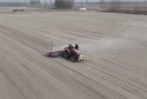 沙漠里种水稻？揭秘塔克拉玛干边缘4000亩绿色奇迹
