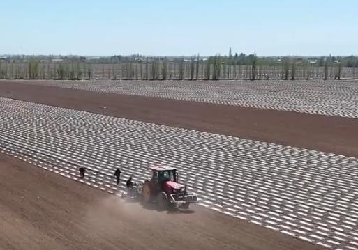 数字赋能春耕沃野生机勃勃 一幅幅“科技春耕图”在广袤田野铺展开