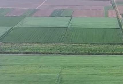 全力推进农业现代化：“小田变大田” 带动村民增收致富