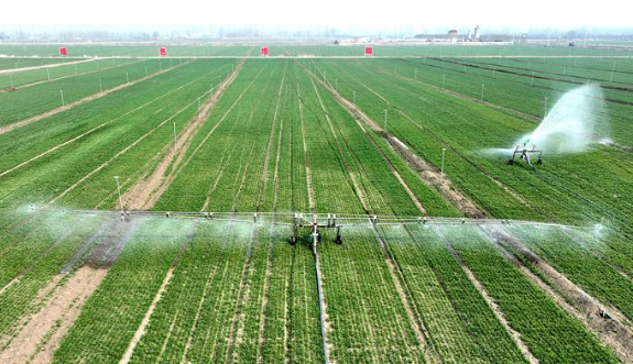 向新向绿，农业新质生产力绘就春耕新图景