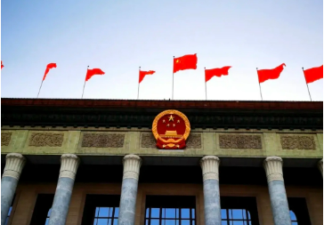 建立实施育儿补贴制度、定向增发购车指标……这些举措将出台！