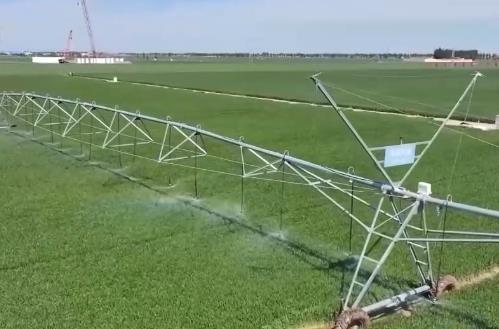 AI大模型助力粮食生产 我国夏粮进入产量形成关键期