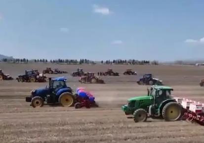 冬小麦进入产量形成关键期 东北地区春播进度约两成