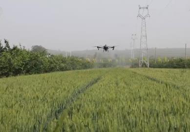 从“经验种田”到“数据种地” 智慧农业为夏粮丰产丰收保驾护航