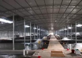 鲜活水产品直通国际市场 特色养殖带动就业增收