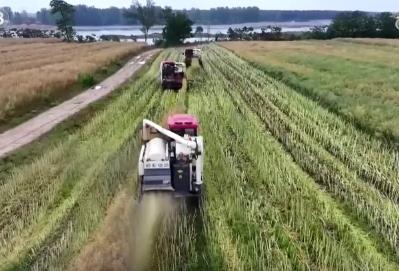 农业生产有“智”又有“质” 硬核科技夯实丰收基础 开辟增产节本新途径