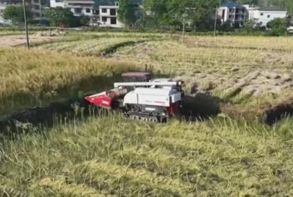 科技赋能农业生产“加速跑” 希望的田野描绘多彩丰收图景