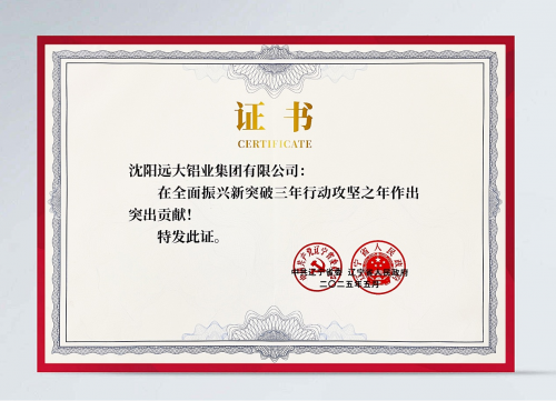 这一年，咱们没白干​​——沈阳远大铝业集团荣获辽宁省委省政府通报表扬