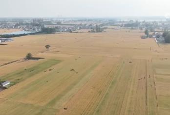 智能农机“唱主角” 希望的田野描绘好“丰”景