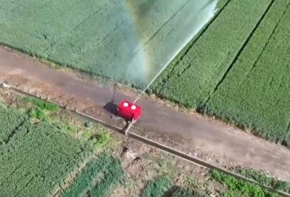 喷灌机器人让小麦喝上“解渴水” 科技抗旱助力夏粮丰产丰收