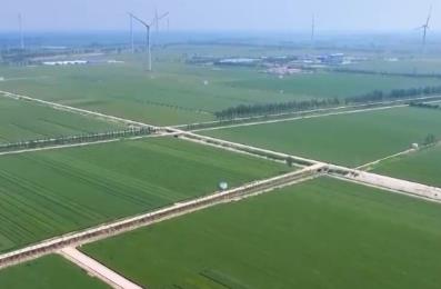 特色产业一派好“丰”光 “花果经济”激活乡村振兴 “新引擎”