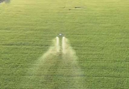 护航小麦稳产丰收 田间管理举措“一喷三防”到底是什么？